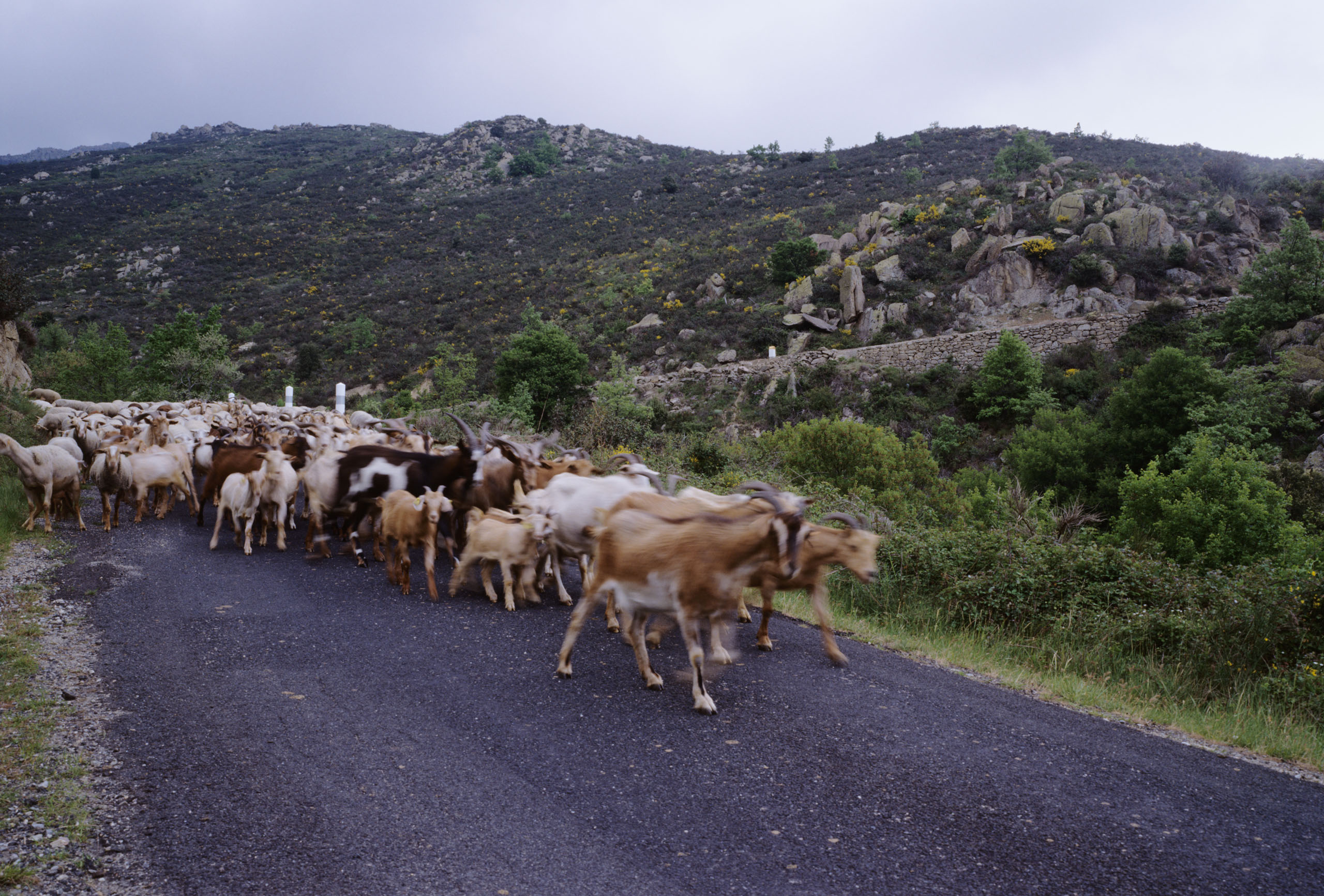 Hl06014 hlFrance 04 09 j2560